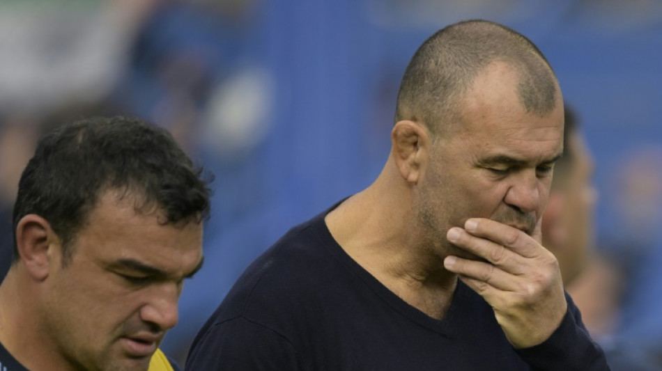 Japan match 'another final', says Pumas veteran Creevy