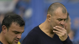 Japan match 'another final', says Pumas veteran Creevy