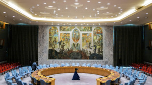 Gaza: le Conseil de s&eacute;curit&eacute; de l'ONU exige une aide "&agrave; grande &eacute;chelle"