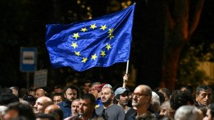 Pro-europ&auml;ische Demonstranten in Georgien fordern R&uuml;cktritt der Regierung