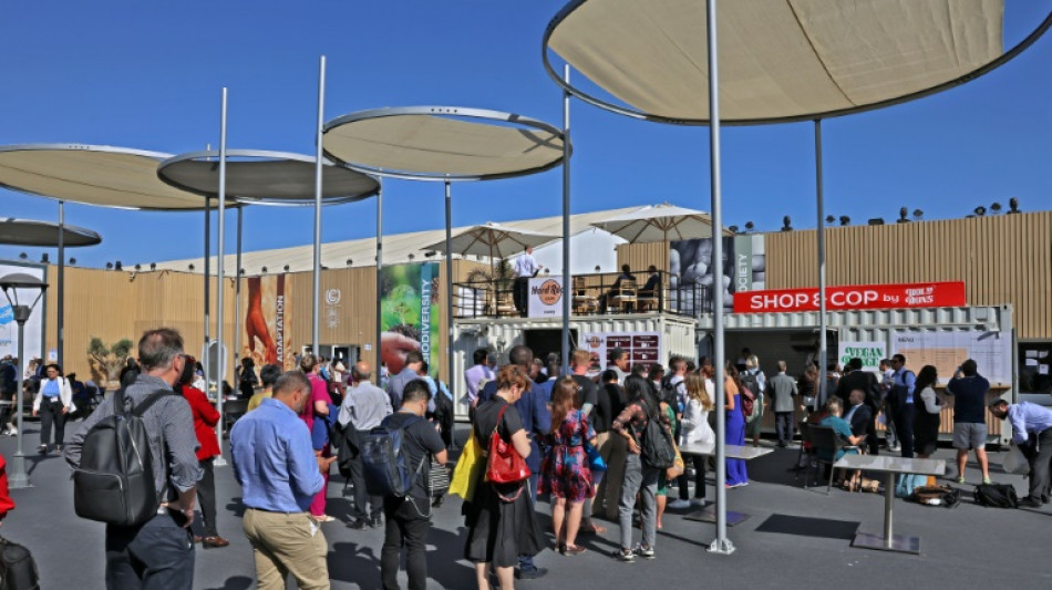 UNO geht auf UN-Klimakonferenz &Uuml;berwachungsvorw&uuml;rfen nach