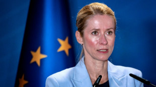 Widerstand aus Mitgliedstaaten: EU richtet vorerst kein Verteidigungs-Expertengremium ein