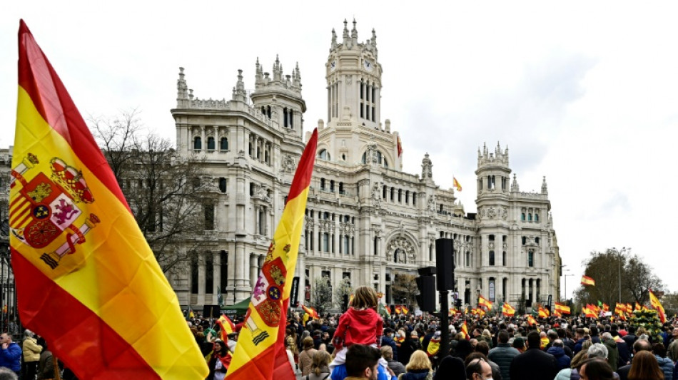 Espagne: des milliers de manifestants contre la vie ch&egrave;re &agrave; l'appel de l'extr&ecirc;me droite