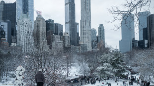 Allerta tempesta di neve in 12 Stati Usa, emergenza a New York e Washington