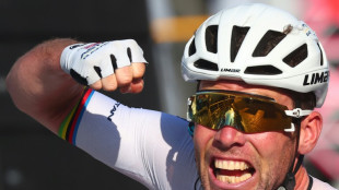 Bold man Cavendish plots Tour de France last hurrah 