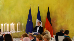 Macron lamenta la "fascinaci&oacute;n por el autoritarismo" que cunde en Europa