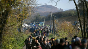 Dermatose: les forces de l'ordre prennent le contr&ocirc;le d'une ferme ari&eacute;geoise apr&egrave;s des affrontements
