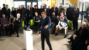 Sunak prev&eacute; las pr&oacute;ximas legislativas en Reino Unido para el segundo semestre de 2024