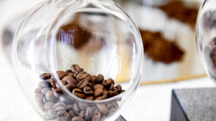 Febbre temperature nei paesi produttori spinge rincari tazzina caffè