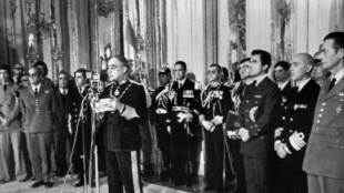 Medio siglo de la Revoluci&oacute;n de los Claveles en Portugal