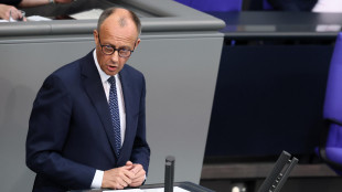 Merz, 'sull'Ucraina farò ogni sforzo per unità fra Ue e Usa'