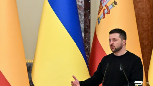 Selenskyj: Ukraine will Krieg in diesem Jahr gewinnen