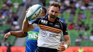 Veteran Wallaby White signs on for Australia until 2025