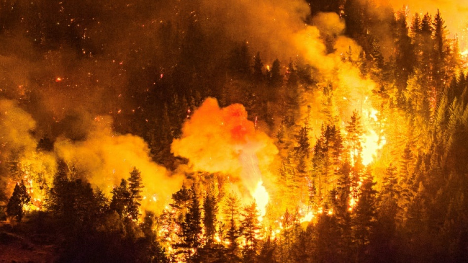 Brigadistas combaten los incendios que arrasan m&aacute;s de 15.000 hect&aacute;reas en la Patagonia argentina