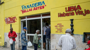 El sector privado seguir&aacute; "ampli&aacute;ndose" en Cuba, afirma D&iacute;az-Canel
