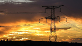 Un plan &agrave; 100 milliards d'euros pour moderniser le r&eacute;seau &eacute;lectrique