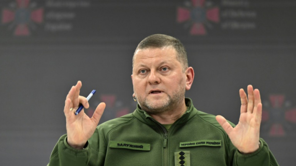 El excomandante en jefe del ej&eacute;rcito de Ucrania, nombrado embajador en Londres