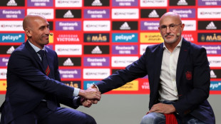 'Maximum respect' for Rubiales resignation: Spain coach