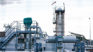 Il gas chiude in rialzo a 55 euro sulla piazza Ttf di Amsterdam