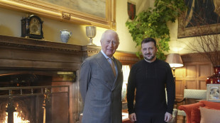 Re Carlo riceve Zelensky al castello di Windsor