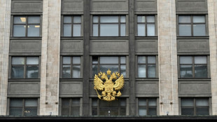 Russisches Unterhaus beschlie&szlig;t h&auml;rtere Strafen f&uuml;r "Saboteure"