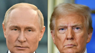 Kreml: Trump wird Putin am Flughafen in Alaska persönlich empfangen