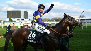Scottish raider Corach Rambler out-foxes rivals to win Grand National