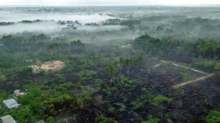 COP30: ONGs denunciam 'ambivalência' do Brasil e falta de ambição e recursos