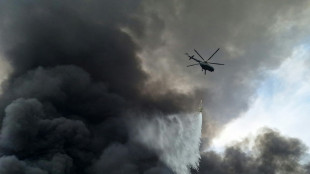 Fire blazes day after Iran port blast killed 28, injured 1,000