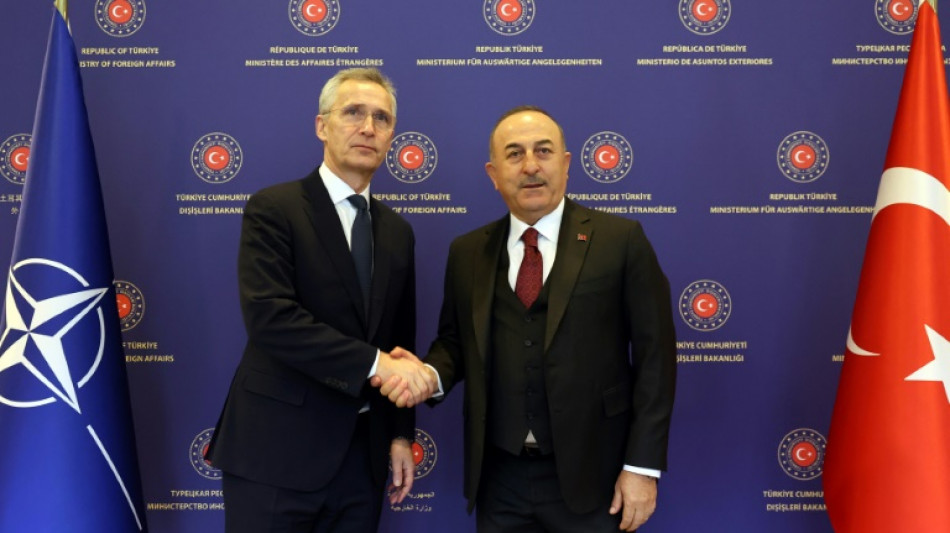 Nato-Chef fordert T&uuml;rkei zu Ratifizierung von Beitritt Schwedens und Finnlands auf