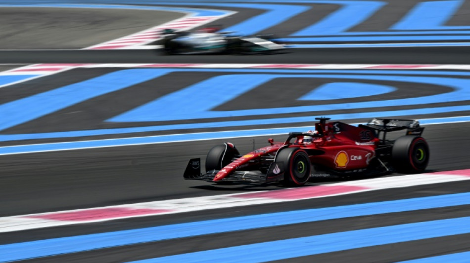Le GP de France menac&eacute; par la mondialisation de la F1