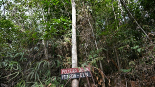 Una exguerrillera ser&aacute; la nueva jefa negociadora del gobierno de Colombia con el ELN
