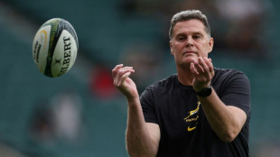 Erasmus the Springboks puppet master who divides opinion