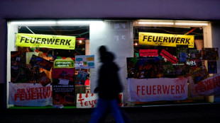 Zoll-Chef warnt vor illegalem Silvester-Feuerwerk