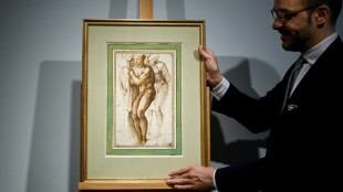 Un dibujo inédito de Miguel Ángel estimado en 32,7 millones de dólares en subasta