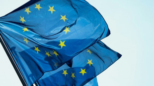 Polens EU-Botschafter: EU-Staaten einigen sich auf Preisdeckel f&uuml;r russisches &Ouml;l