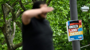 El partido alem&aacute;n de extrema derecha denuncia una agresi&oacute;n a uno de sus candidatos