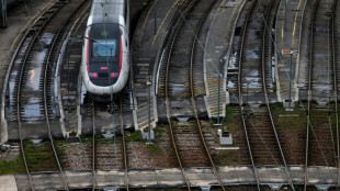 Franz&ouml;sische Bahn SNCF: "Massiver Angriff" auf Schnellzugnetz