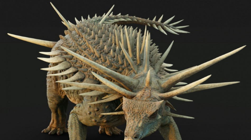 Un "étrange" dinosaure, recouvert d'une armure avec des pointes, découvert au Maroc