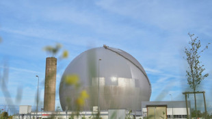 Un projet de loi pour accélérer sur le nucléaire dévoilé en conseil des ministres