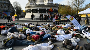 "Stop aux imports de miel &agrave; bas prix": des apiculteurs fran&ccedil;ais lancent un cri d'alarme