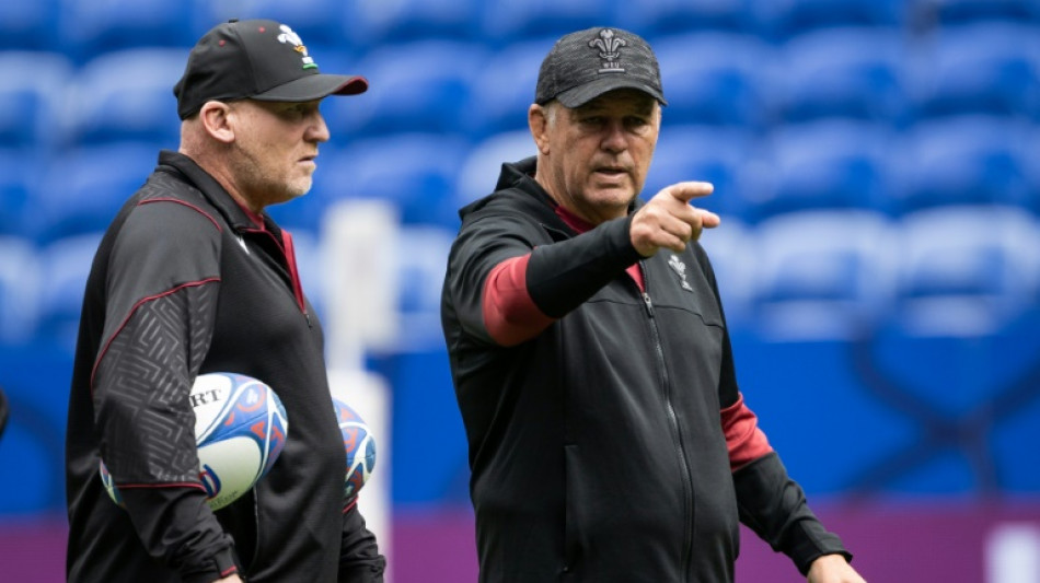 Hard work the key to Wales revival, says Gatland