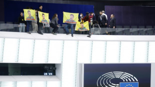 Plenarsaal des EU-Parlaments wegen Protests kurdischer Aktivisten ger&auml;umt