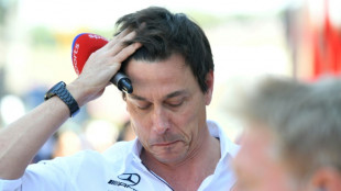Wolff 'Wikipedia' comments slapped down by Verstappen