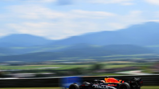 Verstappen fastest in Austrian GP practice