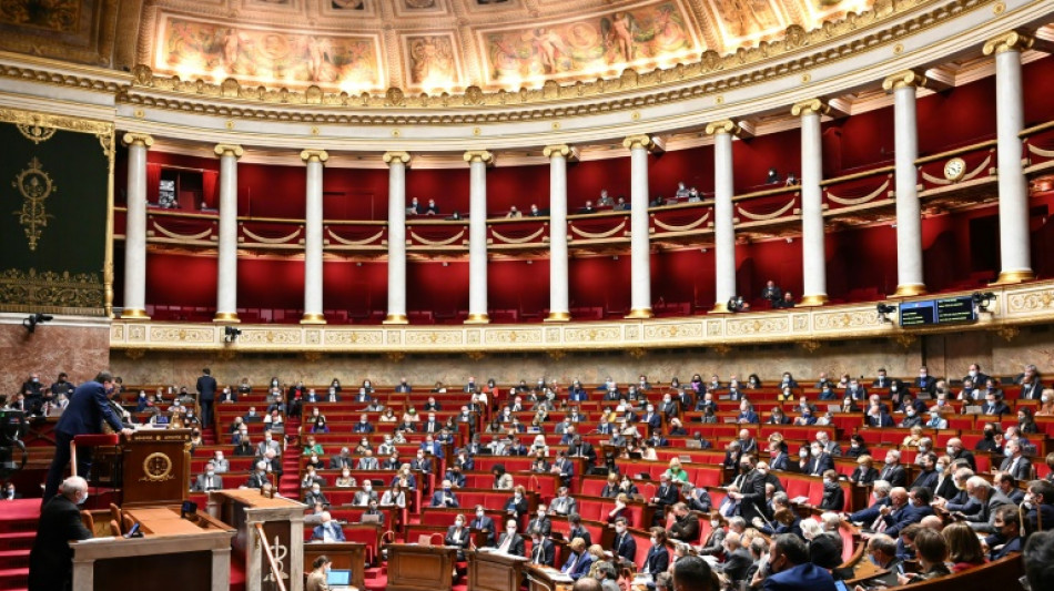 Ultimes votes au Parlement pour un statut unique des travailleurs ind&eacute;pendants