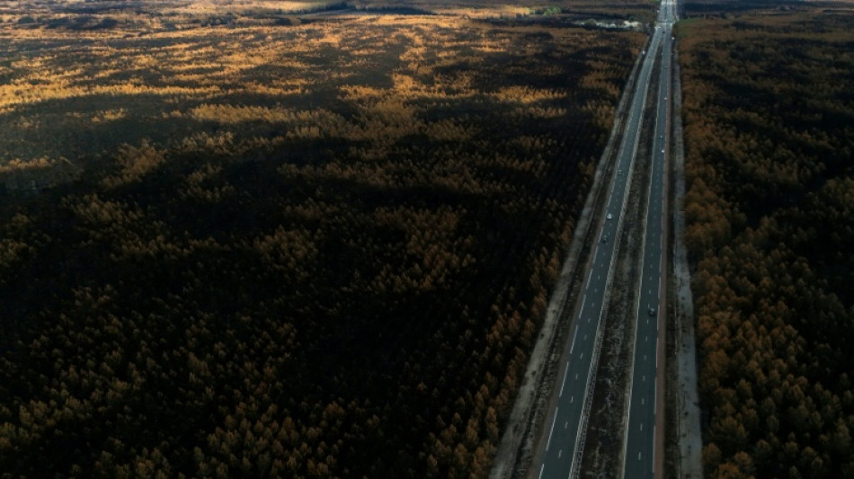 Changement climatique: les surfaces br&ucirc;l&eacute;es en Europe vont augmenter, pr&eacute;viennent des chercheurs