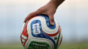 Tierorakel zu Fu&szlig;ballweltmeisterschaft vor erstem Deutschland-Spiel uneins