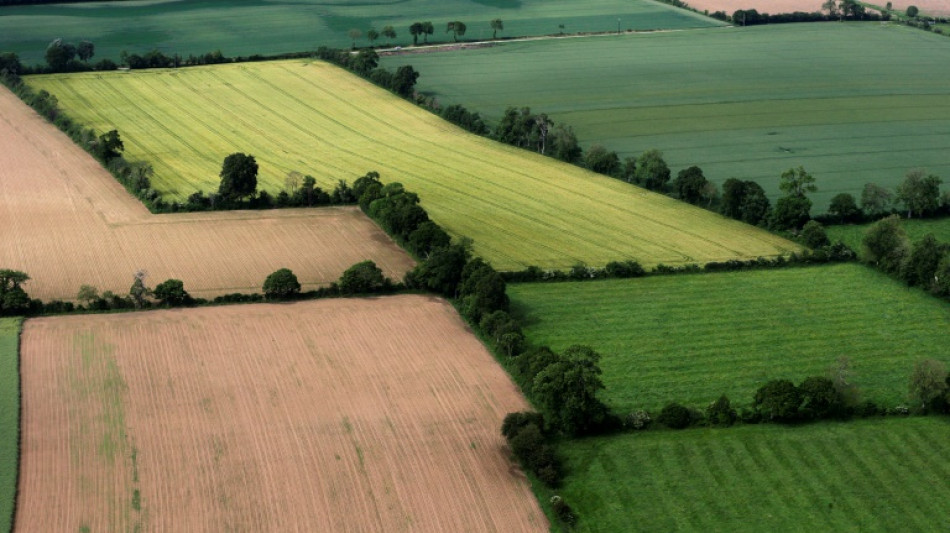 Le bois de haies, une &eacute;nergie locale et une r&eacute;mun&eacute;ration pour "l'effort" des agriculteurs