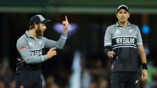 Williamson, Southee boost New Zealand's ODI World Cup squad